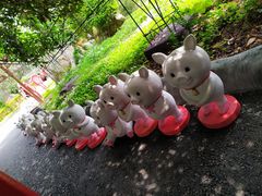 -飞来湖湿地公园