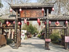 -合肥滨湖国家森林公园