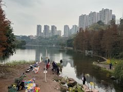 -重庆彩云湖湿地公园