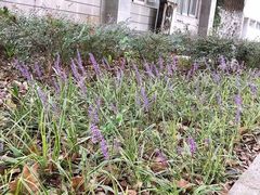 -南京航空航天大学(明故宫校区)