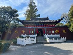 -冶父山国家森林公园
