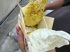 -野人先生现做冰淇淋(西安赛格店)
