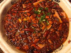 -陈麻婆豆腐总店