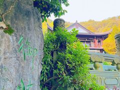 -十八棵（老龙井）御茶园(老龙井店)