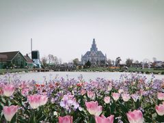 -荷兰花海