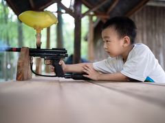 -东平国家森林公园