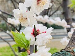 -北京明城墙遗址公园