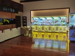 -汤连得(长清路店)
