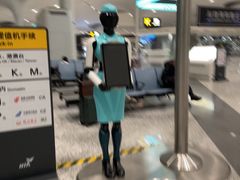 -杭州萧山国际机场