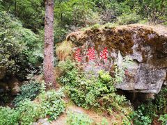 -苍山感通索道