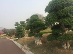 -济南国际园博园