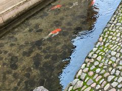 -前童古镇