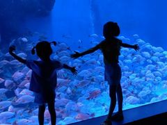 -成都浩海立方海洋公园