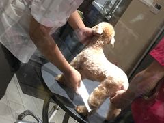 -宠物家(双井店)