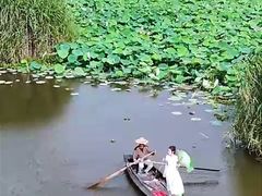 -洪湖生态旅游区