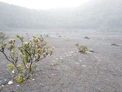 -夏威夷火山国家公园