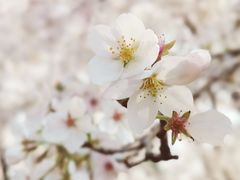 -白塘生态植物园