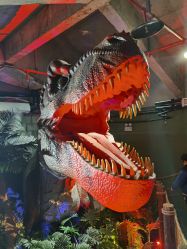 -恐龙探索乐园(磁器口店)