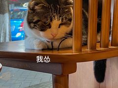 -C.Y Cafe