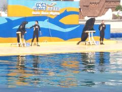 -秦皇岛乐岛海洋王国