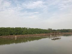 -大湾区中央湿地公园