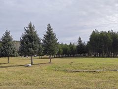 -北极村旅游风景区