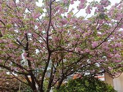 -万达广场(松江店)