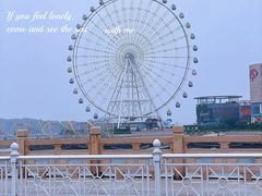 -琴岛之星摩天轮