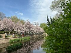 -元大都城垣遗址公园