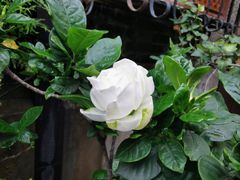 -思南公馆