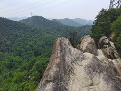 -南山植物园