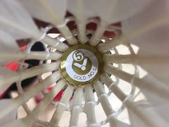 -莱茵体育生活馆