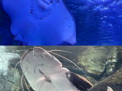 -泉城欧乐堡海洋极地世界