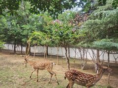 -观唐（国际）度假村温泉