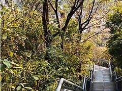-佛山华盖山公园