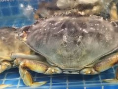 -渔人湾码头海鲜市场负二楼
