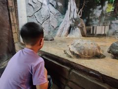 -石家庄市动物园