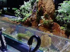 -泰谷酒店·太古码头闽菜自助餐厅