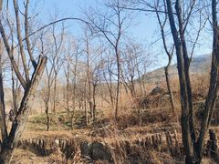 -雪山彩虹谷景区