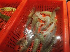 -79号渔船海鲜饭店(华强北店)