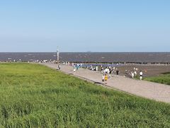 -南汇嘴观海公园