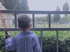 -石家庄市动物园