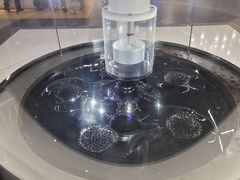 -上海科技馆(地铁站)