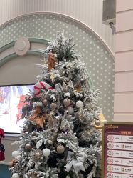 -奈尔宝·儿童乐园·亲子餐厅(华采天地店)