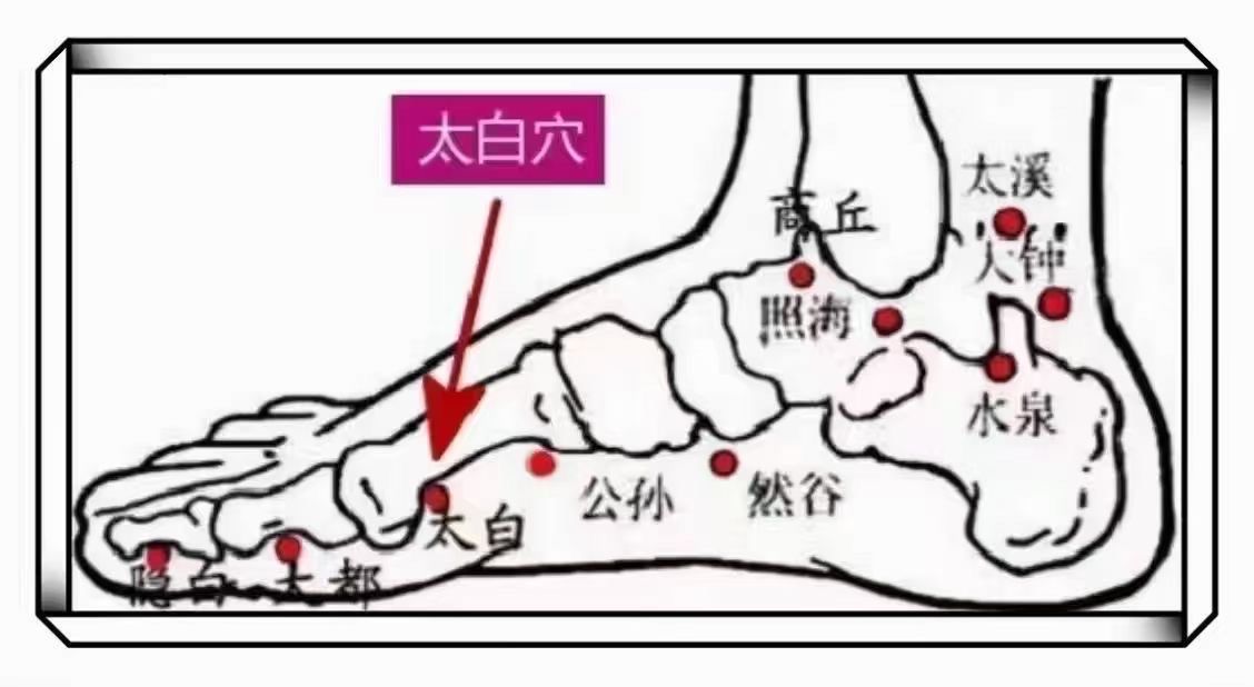 每日一穴(脾经)