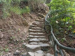 -梧桐山风景名胜区