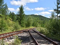 -莫尔道嘎国家森林公园