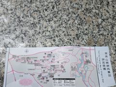 -南山植物园