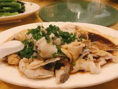 特色香葱淋鲈鱼-粤·向群饭店(泮塘路店)