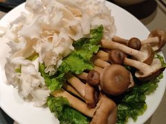 野菌小拼-享月汤皇·海鲜小火锅·聚会(曲江创意谷店)